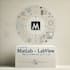 provide professional matlab and labview programming and simulation services