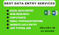 do excel data entry in low price