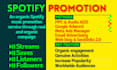 do professional spotify music promotion by targeted ads