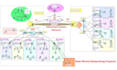 help out in cisco packet tracer ccna networking solutions