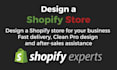 create shopify store for you