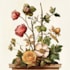 botanical flower plants scientific illustration