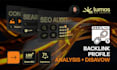 audit your backlink profile and disavow negativ links