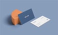 design professional and minimal business card