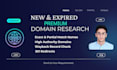 do in depth expired domain research to hold and sell premium domains