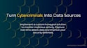 professional honeypot development and deployment