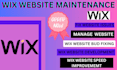 be your wix website maintenance manager, shopify speed optimization, wordpress