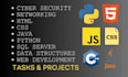 do networking, cyber security, information projects report