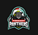 design awesome parkway panthers logo