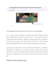 write SEO optimized blogs, web and landing page content