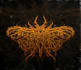 create an epic fantasy metal logo