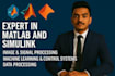 do matlab programming, simulink, signal and image processing