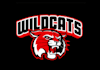 make attractive new wildcat logo