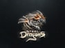 design steel dragons game logo
