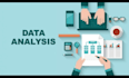 perform statistical data analysis and thesis assistance
