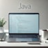 provide professional java development services