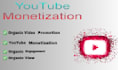 complete youtube channel monetization requirement