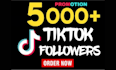 do your tik tok organic followers promotion