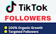 do your tik tok organic promotion