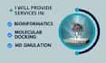 provide services bioinformatics, molecular docking and MD simulation