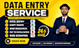 do data entry, web research, copy paste, pdf to excel work