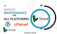 provide professional website maintenance for any platform