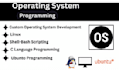 do operating system tasks, c programming ,linux projects