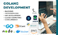 develop robust golang apis, microservices, backend solutions