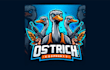 do creative ostrich mascot logo with unlimited revisions