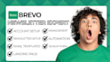 design brevo email template omnisend brevo email marketing brevo automation