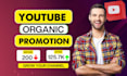 do organic youtube video promotion with google ads and targeted audience