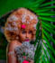 do pro photo editing ,retouching and colour grading