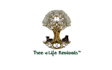 design renovates old houses company logo