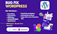 fix wordpress issues, errors, bugs, css, provide wp help