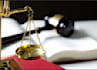 professionally litigate and be your paralegal