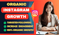 do super fast instagram organic growth