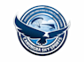 create awesome airline logo with express delivery
