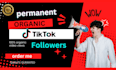 do your organic tik tok promotion and marketing