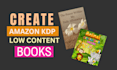 create amazon KDP  low content books