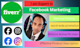 promote your product link  on my facebook profile