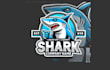 do wonderful shark mascot logo design with express delivery