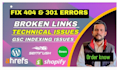 404,301,broken links,technical issues,canonical issues and gsc indexing issues