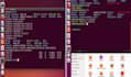 do operating system, c language ,c,python  programming projects
