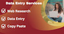do fast accurate data entry services