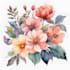 draw watercolor flower illustration
