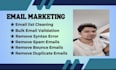 handle emails, sales and support
