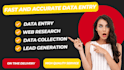 provide expert data entry and web research services