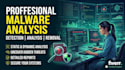 do malware detection and malware analysis