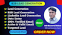 do b2b lead generation, data entry, VA, web research