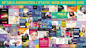 do html5 animated banner and infographic design service